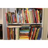 A large collection of books with a childrens/annuals etc theme: 2 shelves.