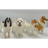 3 Beswick dogs: to include Lochinvar of Lady Park, Jack Russell Terrier & Spaniel, Together with