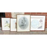 Four Framed items to include: Portrait Prints, Watercolour Still Lifes & Nautical item(4)