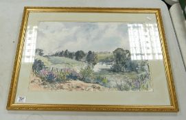Eva Bradley Local Interest Society of Staffordshire Artist Watercolour: View from Trentham Park,
