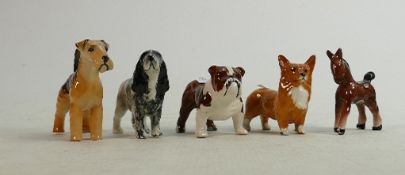 Beswick dogs to include bulldog 1731: corgi 1736, cocker spaniel 1754, Lakeland terrier and a