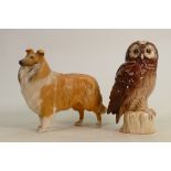 Beswick Dog Champion Lochinvar of Lady Park: together with Royal Doulton Tawny Owl Decanter(2)