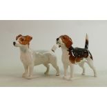 Beswick Jack Russell: Together with Wendover Billy. (2)