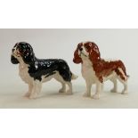 2 Beswick King Charles Spaniel: Different Colourways. (2)