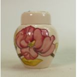 Moorcroft pink magnolia on cream small ginger jar: Height 11cm