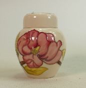 Moorcroft pink magnolia on cream small ginger jar: Height 11cm