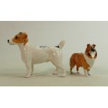 Beswick large Jack Russell: 2023 together with a small Collie 1814 (2)