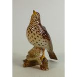 Beswick Song Thrush: