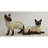 Beswick Siamese cat 1559: together with Model 1897. (2)