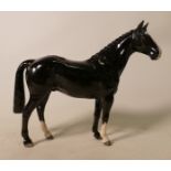 Beswick BLACK HUNTER Horse, Model No.H260: issued in 2005 in a worldwide limited edition of 500