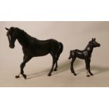 Beswick matte black beauty & foal (2):