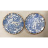 Pair of European Chinese Style 19th Century Plates: diameter 25cm(2)