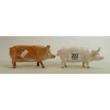 Beswick sow CH.wall Queen 40th: 1452A together with a Royal Doulton Tamworth pig (2)