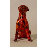 Anita Harris Mutlicoloured Boxer Dog: 12cm, Gold Signed.