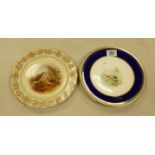 Royal Worcester hand decorated cabinet plate: Decorated with Snipe together with a 19th C plate with