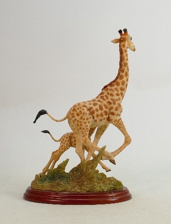 Border Fine Arts Wild World series figure Giraffe A5407: Boxed. - Image 3 of 3