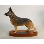 Beswick Connoisseur Alsatian dog 2587: