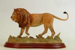 Border Fine Arts Wild World series figure Lion A5047: Boxed.
