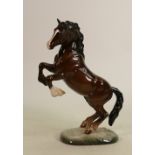 Beswick rearing Welsh Cob on base 1014: First version. (Restored tail).
