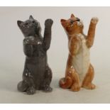 Two Beswick Persian cats on hind legs: In grey and ginger colourways. 1883