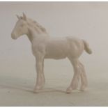 Beswick shire foal in white matt: 1053.