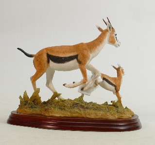 Border Fine Arts Wild World series figure Gazelles A5408: Boxed. - Image 3 of 3