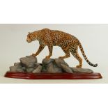 Border Fine Arts Wild World series figure Leopard A3065: Boxed.
