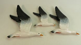 Beswick set of Seagull wall plaques: Wall plaques of Seagulls 922-1, 2 & 3. (3)