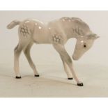 Beswick grey large head down foal 947: