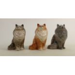 Beswick seated grey Swiss roll Persian cat together with ginger cat and grey gloss cat 1880 (3):