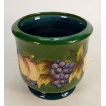 Moorcroft planter Fruit and Vine design: By Marjorie Kubanda. Limited edition No.56 of 500. 17cm