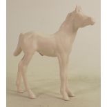 Beswick satin matt foal 2536: