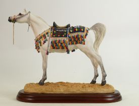 Large Border Fine Arts Arab Stallion A2016: Height 28cm, boxed.