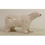 Beswick Polar Bear 1533: Light crazing noted.