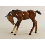 Beswick brown large head down foal 947: