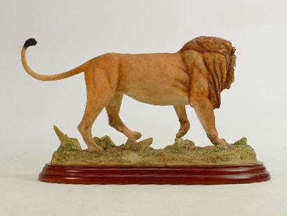 Border Fine Arts Wild World series figure Lion A5047: Boxed. - Image 3 of 3