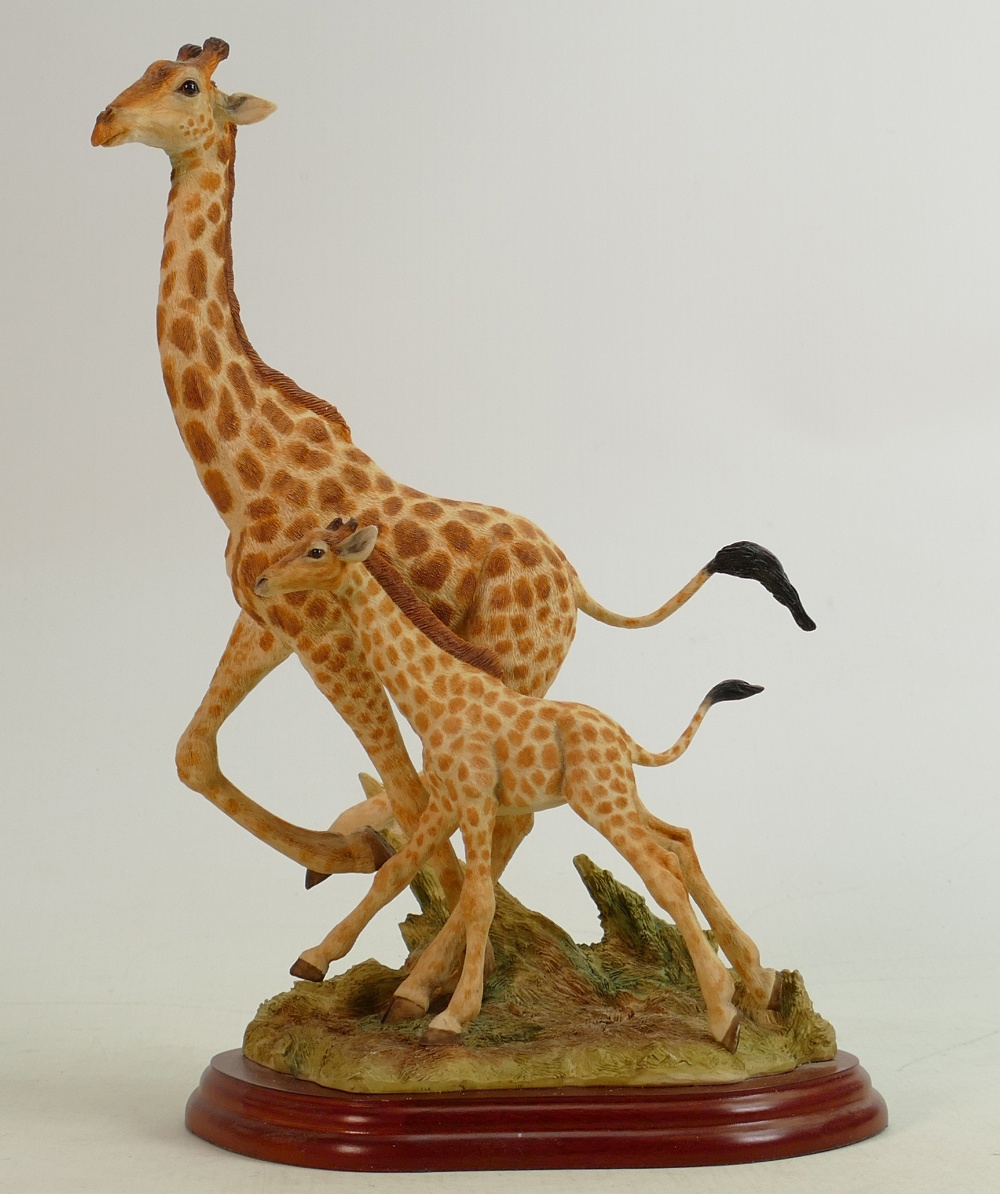 Border Fine Arts Wild World series figure Giraffe A5407: Boxed.