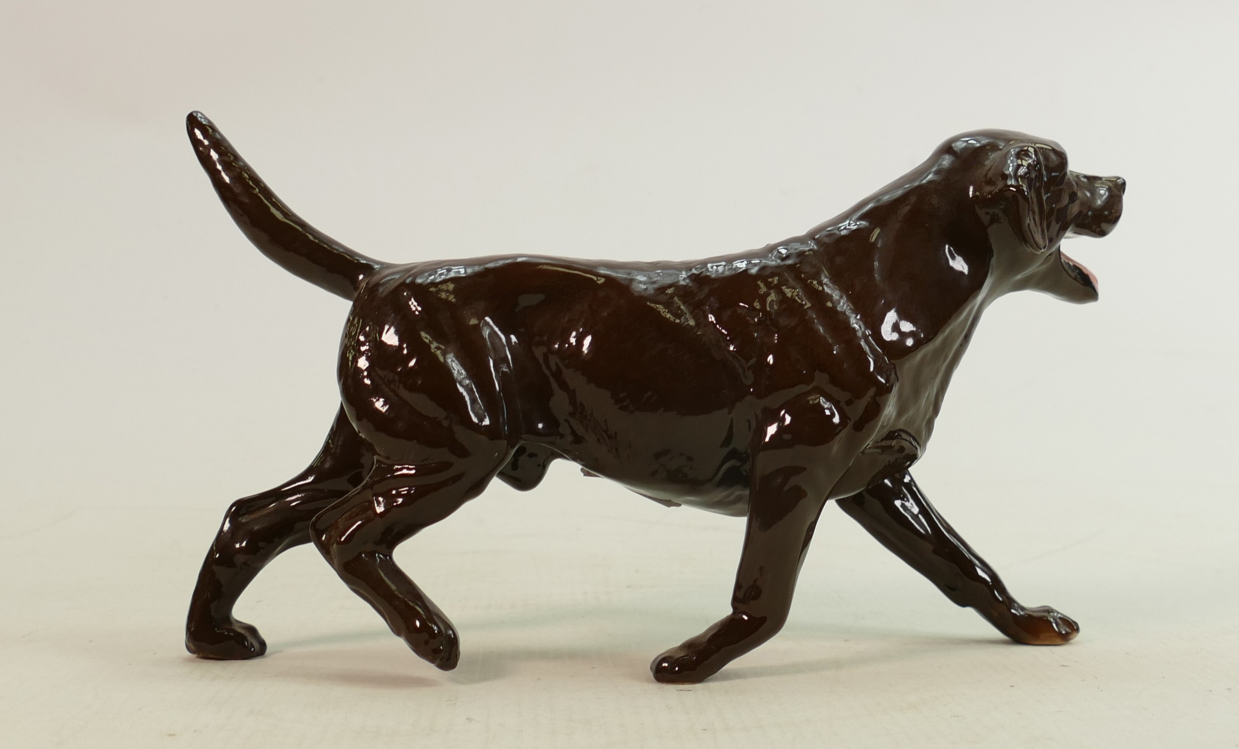 Beswick walking chocolate labrador 3062B: Collectors Club Special 1993, boxed. - Image 3 of 3