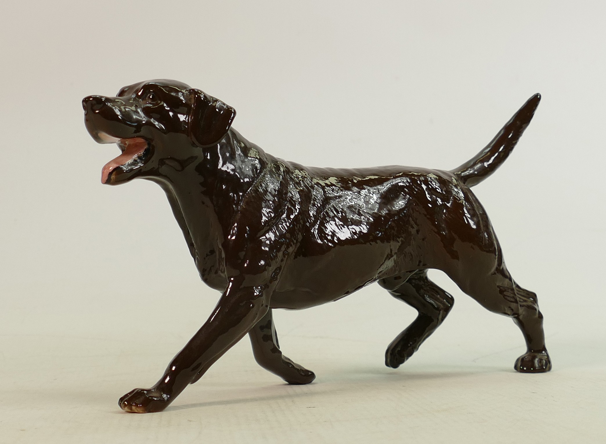 Beswick walking chocolate labrador 3062B: Collectors Club Special 1993, boxed.