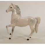 Beswick grey prancing Arab horse 1261: