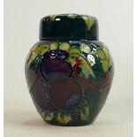 Moorcroft ginger jar Finch Teal pattern: Measures 10cm x 8cm, with box. C1990 by Sally Tuffin. No