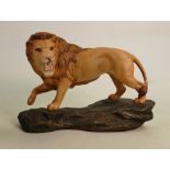 Beswick lion on a rock 2554A: Marked Beswick England 45.