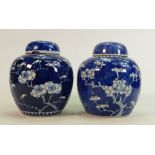 Two Chinese blue & white ginger jars: Decorated with Prunus, both lids with damage, height of each