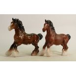 Beswick brown cantering shire horses 975: In matt and gloss. (2)
