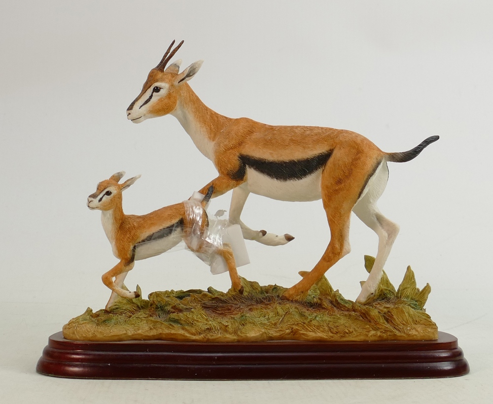 Border Fine Arts Wild World series figure Gazelles A5408: Boxed.