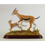 Border Fine Arts Wild World series figure Gazelles A5408: Boxed.