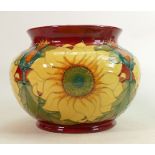Moorcroft vase or jardiniere Inca pattern: Measures 20cm x 27cm. With box. No damage or restoration.