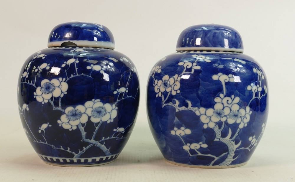 Two Chinese blue & white ginger jars: Decorated with Prunus, both lids with damage, height of each - Image 2 of 8