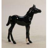 Beswick black gloss foal 2536: (Royal Doulton seconds back-stamp).