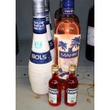 Bols branded liqueur and Mahiki coconut/rum schnapps: